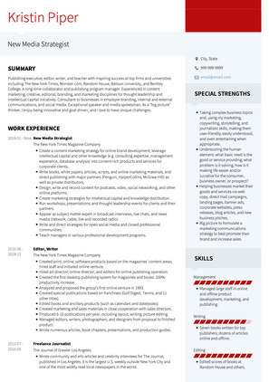 Media Strategist CV Example and Template