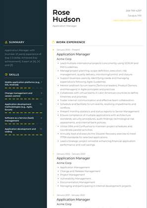 Application Manager Resume Sample and Template