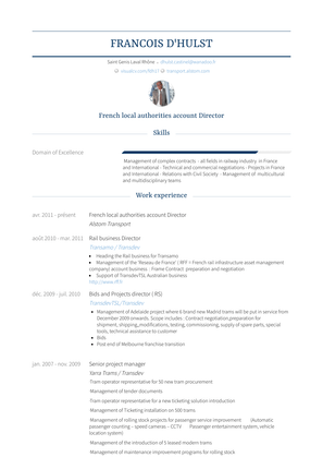 French Local Authorities Account Director Resume Sample and Template