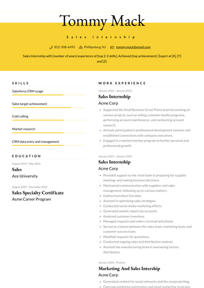 Sales Internship Resume Sample and Template