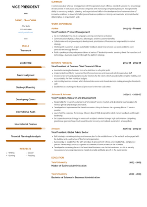 Vice President, Product Management Resume Sample and Template