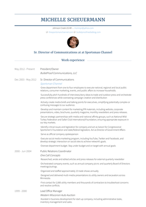 President/Owner Resume Sample and Template