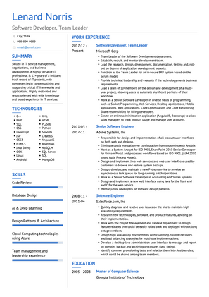 Team Lead CV Example and Template