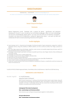 Chief Game And Application Officer And Occasional Animator Cum Designer. Resume Sample and Template