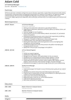 IoT Technical Manager Resume Sample and Template