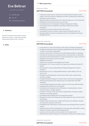 Sap Mm Consultant Resume Sample and Template