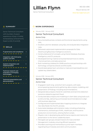 Senior Technical Consultant Resume Sample and Template