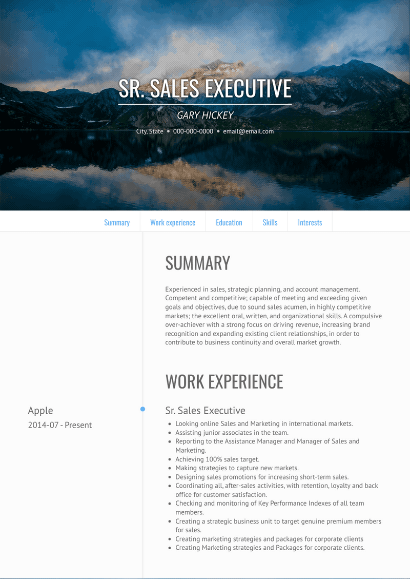 Sr. Sales Executive Resume Sample and Template