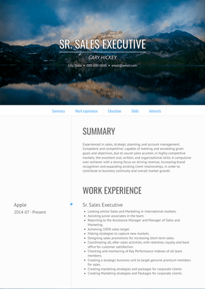 Sr. Sales Executive Resume Sample and Template