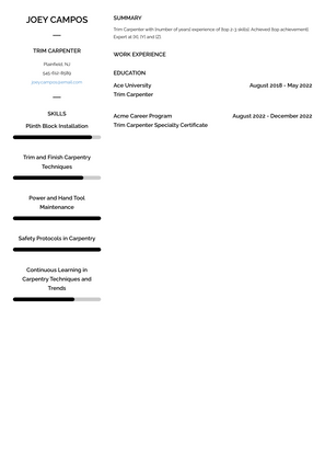 Trim Carpenter Resume Sample and Template