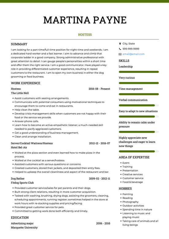 A CV using VisualCV's Chloe template