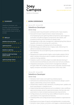 Salesforce Developer Resume Sample and Template