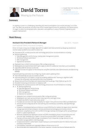 Assistant Vice
President/Network Manager Resume Sample and Template