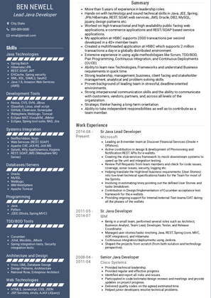 Lead Java Developer Resume Sample and Template