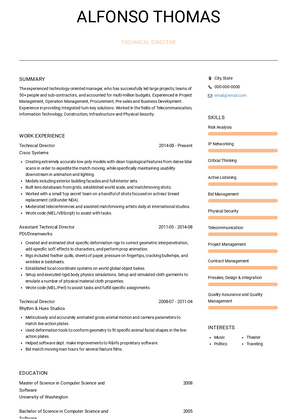 Technical Director Resume Sample and Template