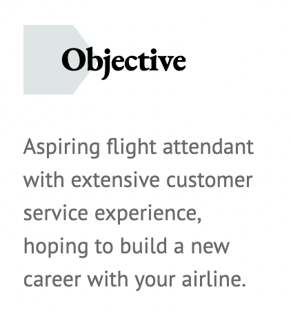 flight attendant no experience resume objective example