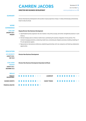 Director New Business Development Resume Sample and Template