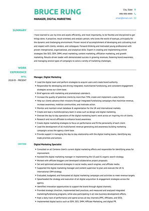 Digital Marketing Manager CV Example and Template