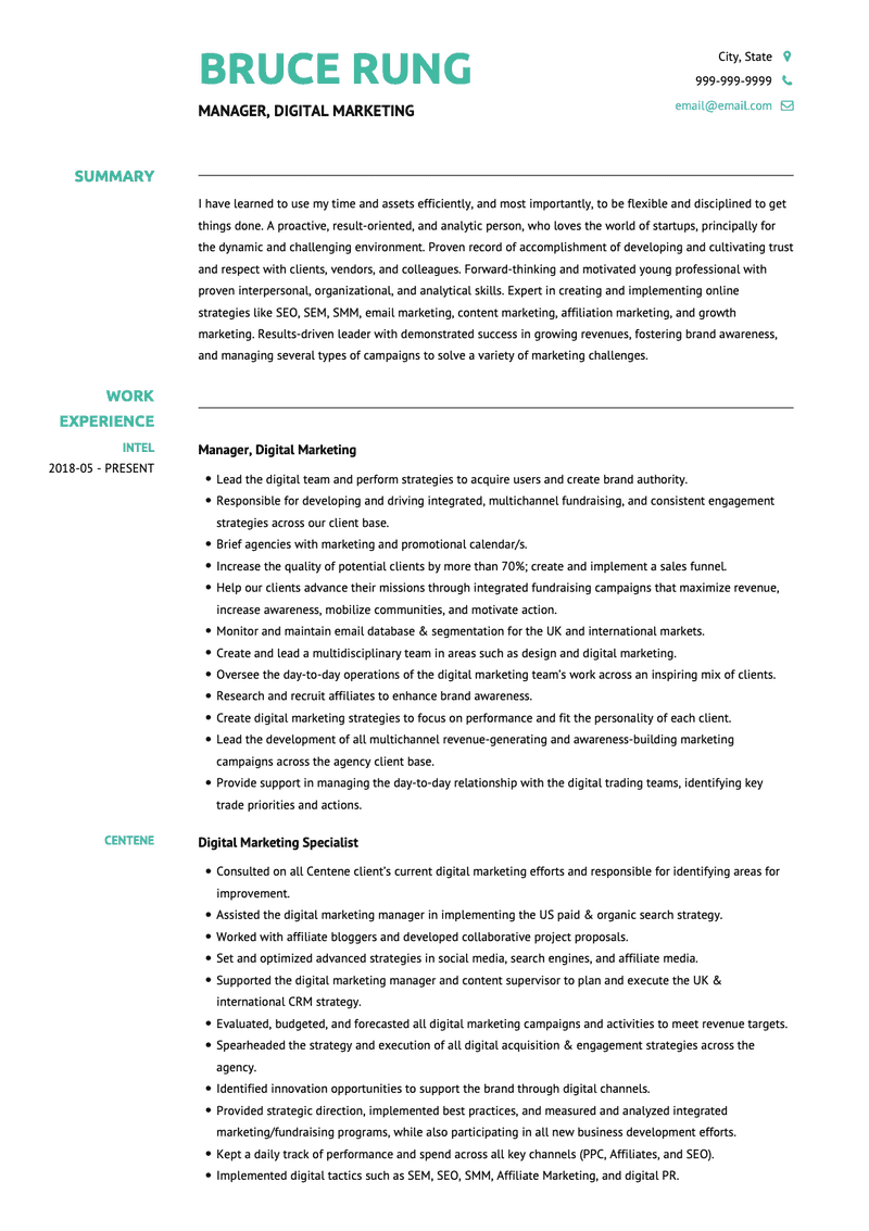 Digital Marketing Manager CV Example and Template