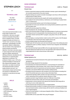 Technical Lead CV Example and Template