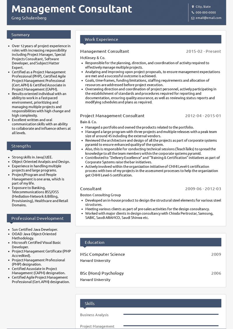 resume summary examples consultant