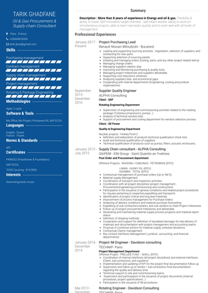 Independent Consultant   Energy Tech' Consulting Resume Sample and Template