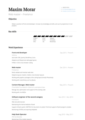 Web Master Resume Sample and Template