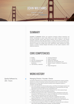 Suporte técnico Resume Sample and Template