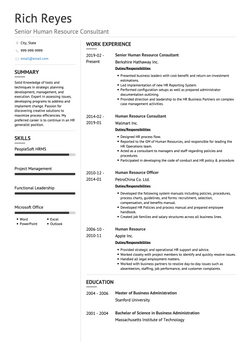 咨询 Resume Sample and Template