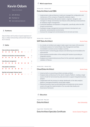 Data Architect Resume Sample and Template