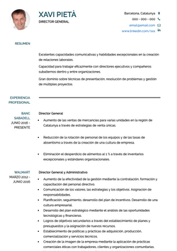 Plantilla y ejemplo de Director General CV