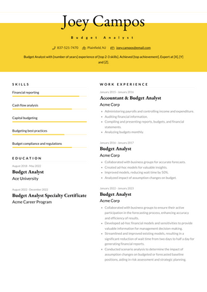Budget Analyst Resume Sample and Template