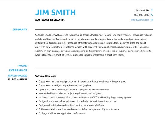 Software development resume in Standard template