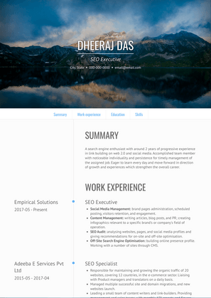 SEO Executive Resume Sample and Template