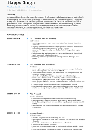 Vice President Sales and Marketing Resume Sample and Template