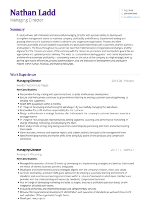 Managing Director CV Example and Template