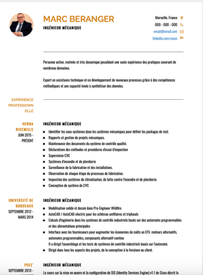 Exemple et modèle de CV null