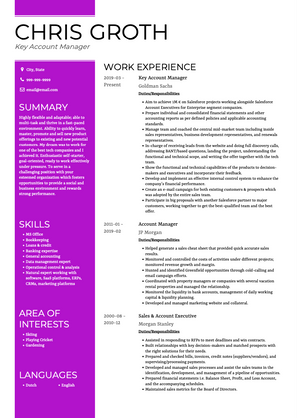 Key Account Manager CV Example and Template