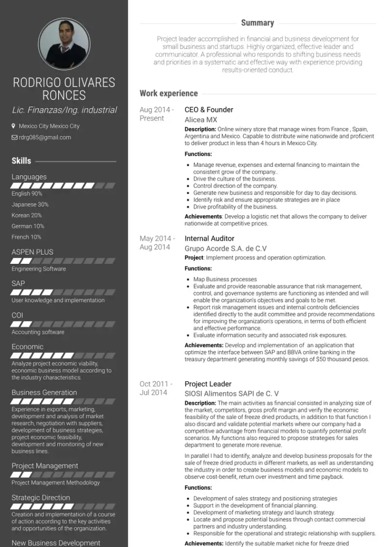 internal auditor resume example