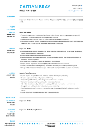 Project Team Member Resume Sample and Template