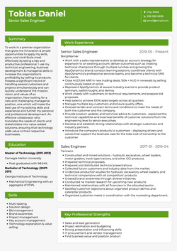 Senior Sales Engineer Resume Sample and Template