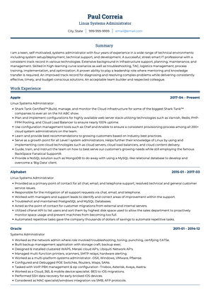 Systems Administrator CV Example and Template