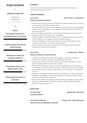 Senior Art Director Resume Sample and Template