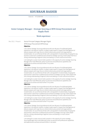 Senior Principal Category Manager Digital Resume Sample and Template