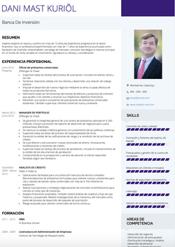 Banca de inversión Resume Sample and Template