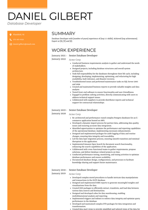 Database Developer Resume Sample and Template