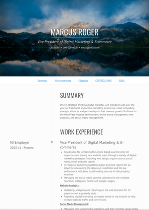 Vice President of Digital Marketing & Ecommerce Resume Sample and Template