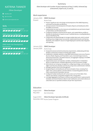 Obiee Developer Resume Sample and Template