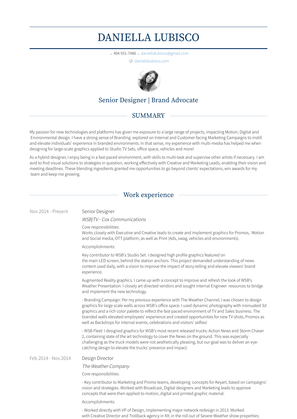 Design Director Resume Sample and Template
