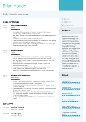 Senior Sales Reprasentative CV Example and Template